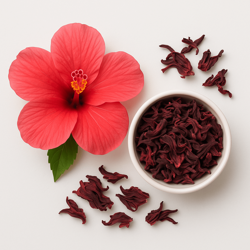 Hibiscus - Sadaf.com