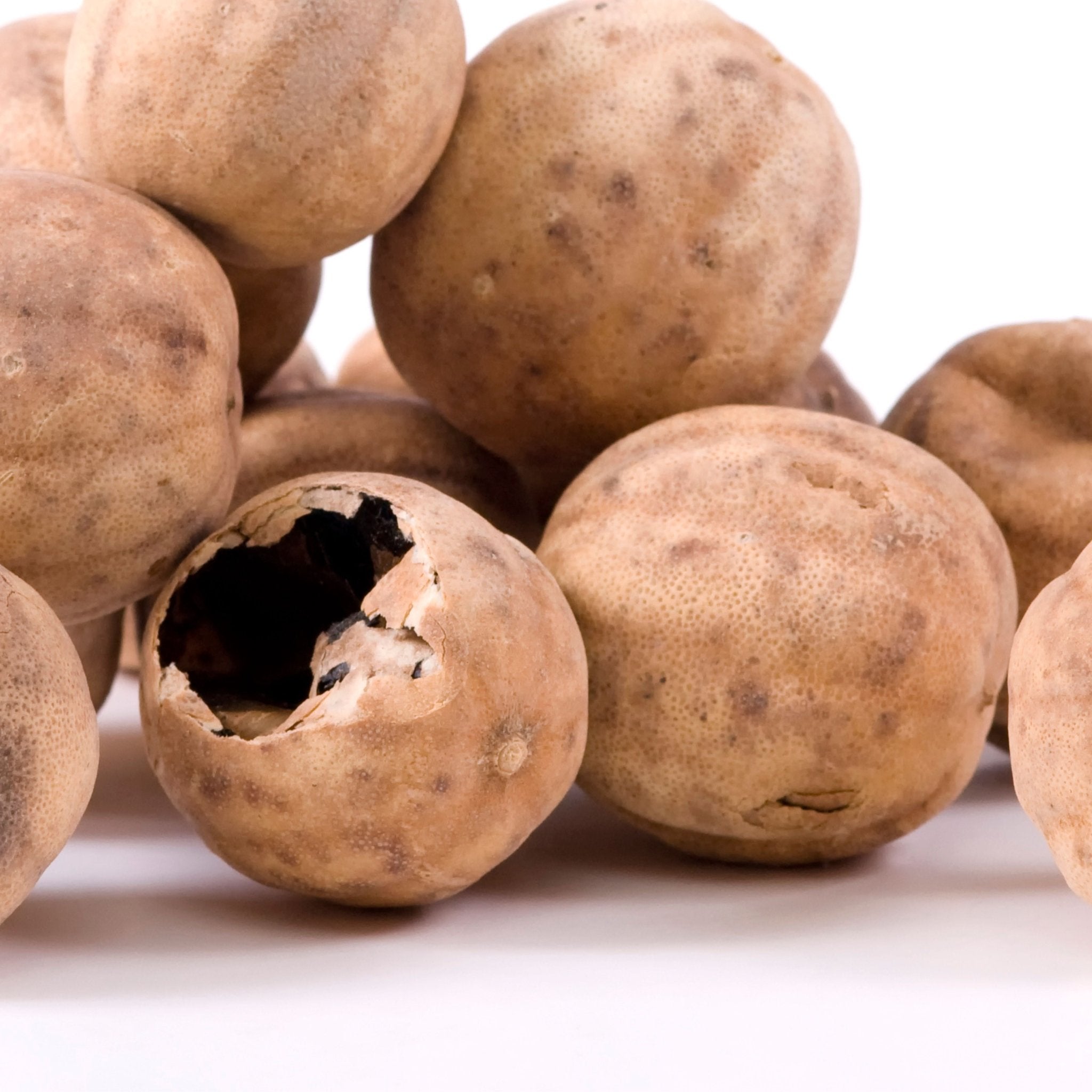 Dried Limes | Limoo Omani – Sadaf.com