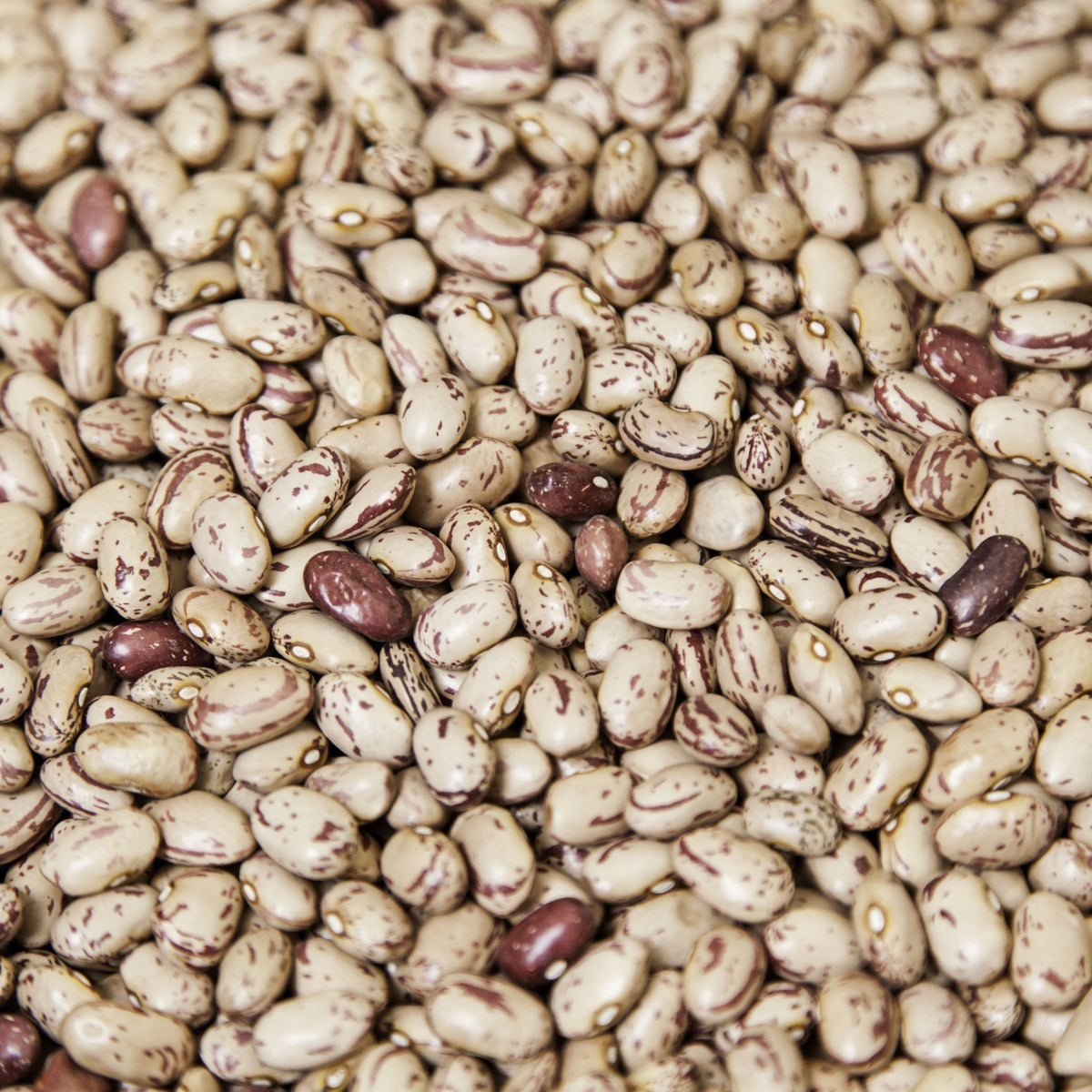 Beans - soofercoinc